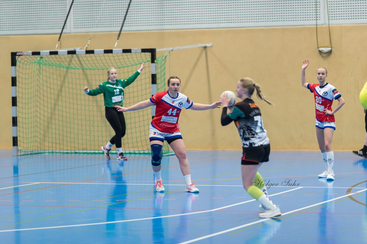 Bild 174 - wBJ HC Quickborn - HSG Tills Loew. : Ergebnis: 19:20